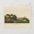 Recherche de rivages cartes postales Couleur