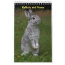 Recherche de lapin calendriers Lièvre