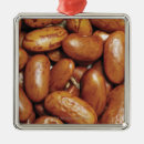 Recherche de haricot ornements Brun