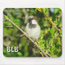 Recherche de moineau tapis souris Photographie de la nature