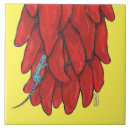 Recherche de lézard carreaux Sud ouest