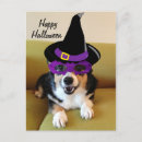Recherche de tricolore français cartes postales Corgi