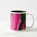 Recherche de nassau bahamas tasses Caraïbes