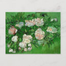 Recherche de nature morte cartes postales Roses