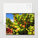 Recherche de grasse cartes postales Toute personne
