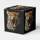 Recherche de félin ballotins Animaux