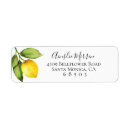 Recherche de orchid labels Simple