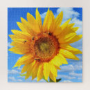 Recherche de jouer puzzles Été