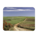Recherche de fleuri magnets Paysage