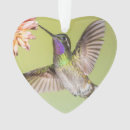 Recherche de fleurs exotiques ornements Colibri