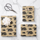 Recherche de blaireau papier cadeau Sorcier