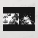 Recherche de bizarre photographie Animaux