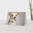 Recherche de le chiwawa vœux cartes Adorable