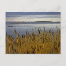 Recherche de septembre cartes postales Photographie