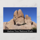 Zoek naar joshua tree national park briefkaarten Natuur