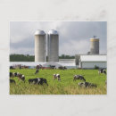 Recherche de le comté cartes postales Amérique