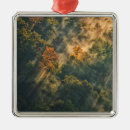 Zoek naar mist ornamenten Herfst