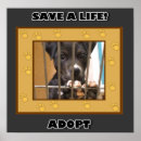 Zoek naar adoptie posters Puppy