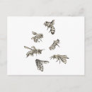 Recherche de conception graphique cartes postales Simple