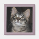 Recherche de long refrigérateur magnets Animaux