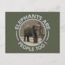 Recherche de elephants cartes postales Zoo