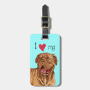 Recherche de dogue de bordeaux accessoires Mastiff français