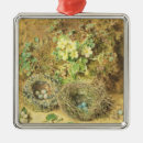 Recherche de nid ornements Nature