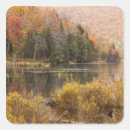 Recherche de reflet autocollants Orange