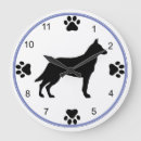 Recherche de belges horloges Malinois