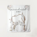 Zoek naar flamingo fotografie Tropisch