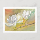 Recherche de timbre de fleur cartes postales Floraison