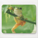 Recherche de grenouille verte tapis souris Longueur totale