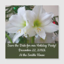 Recherche de amaryllis invitations Vacances