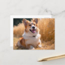 Recherche de amour animal cartes postales Amoureux des chiens