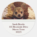 Recherche de de chiwawa autocollants Chien