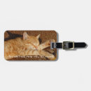 Recherche de animaux familiers bagages étiquettes Chat