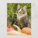 Recherche de agriculture cartes postales Nourriture