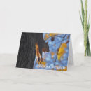 Recherche de accrochage cartes postales Mignon