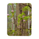 Recherche de rhododendron magnets Forêt