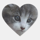 Recherche de chatons autocollants Amoureux