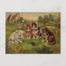 Recherche de chat vintage cartes postales Animaux