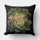 Recherche de horticulture coussins Nature