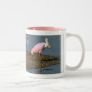 Recherche de spatule tasses Faune