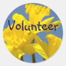 Recherche de narcisse autocollants Jonquilles