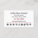 Recherche de insecte fait sur commande cartes visite Insectes