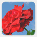 Zoek naar bloem lucht stickers Bloemen