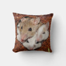 Recherche de souris coussins Mignon