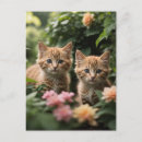 Recherche de chatons t cartes postales Pour elle