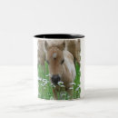 Recherche de poulain tasses Cheval