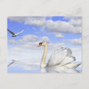 Recherche de lac des cygnes cartes postales Oiseau